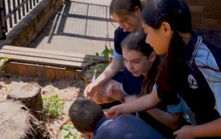 St Joseph's Oatley Bee Hive