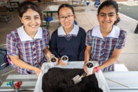 Domremy College Five Dock students at Taronga Zoo