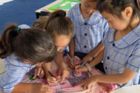 Students from St Brigid's Catholic Primary School Marrickville working on a project