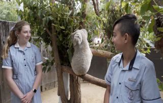 Students from St Joseph's Catholic Primary School Como with Baxter the Koala at Taronga Zoo