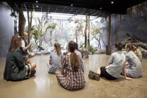 Sydney Catholic Schools students learning about wildlife conservation at Taronga Zoo