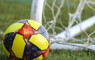 Soccer ball beside net