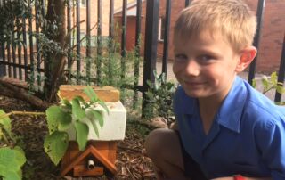 St Joseph's Oatley Bee Hive