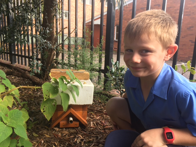 St Joseph's Oatley Bee Hive