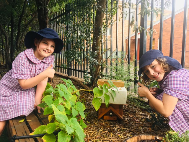 St Joseph's Oatley Bee Hive