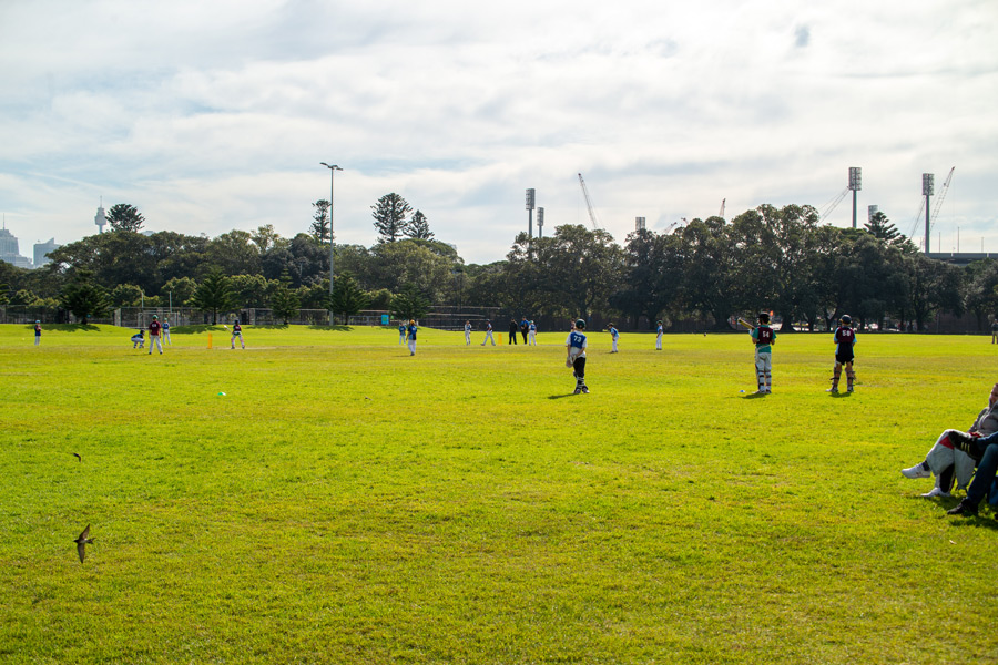 Cricket Archdiocesan Trials